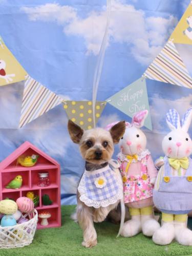 20240328ノアくん